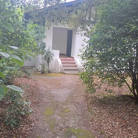 Maison Typique Pyla Proche La Teste-de-Buch